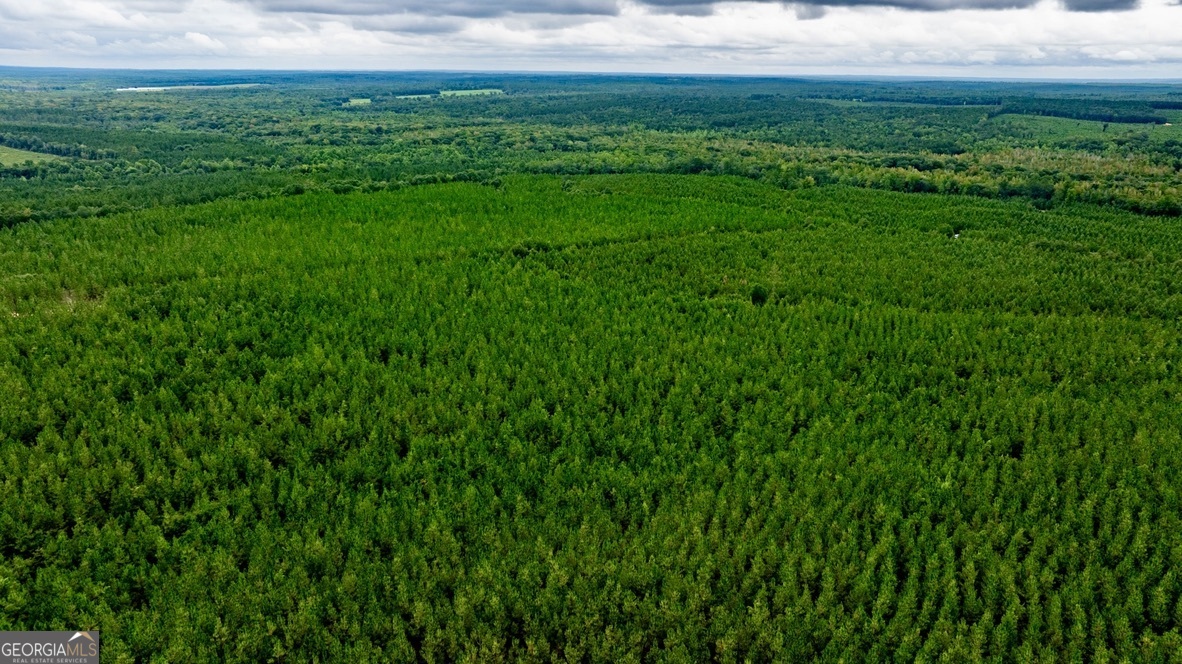 0 Pine Creek Road Ellaville, GA 31806 - Photo 3 of 23 a view of yard with grass and house