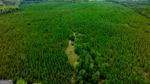 a view of a lush green space