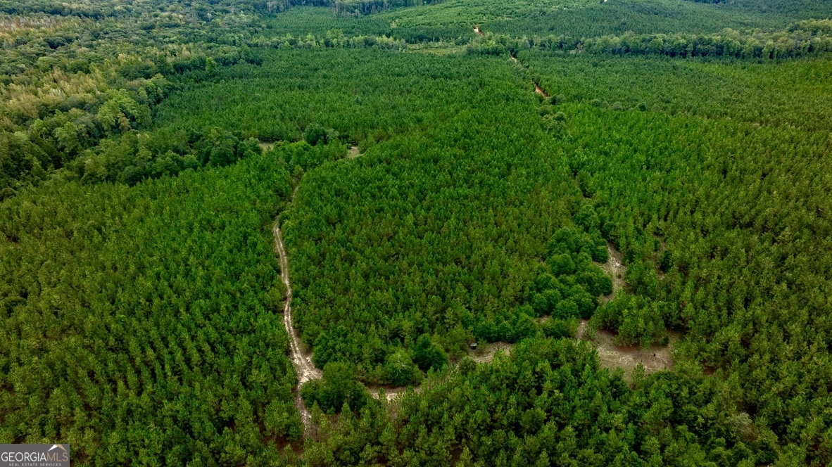 0 Pine Creek Road Ellaville, GA 31806 - Photo 6 of 23 a view of a lush green space