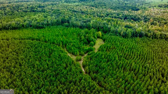 a view of a lush green space