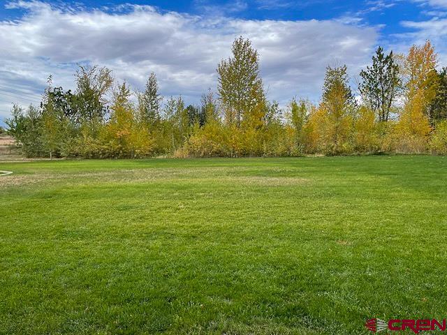 55339 Begonia Road Delta, CO 81416 - Photo 9 of 34 a view of a field with an trees in the background