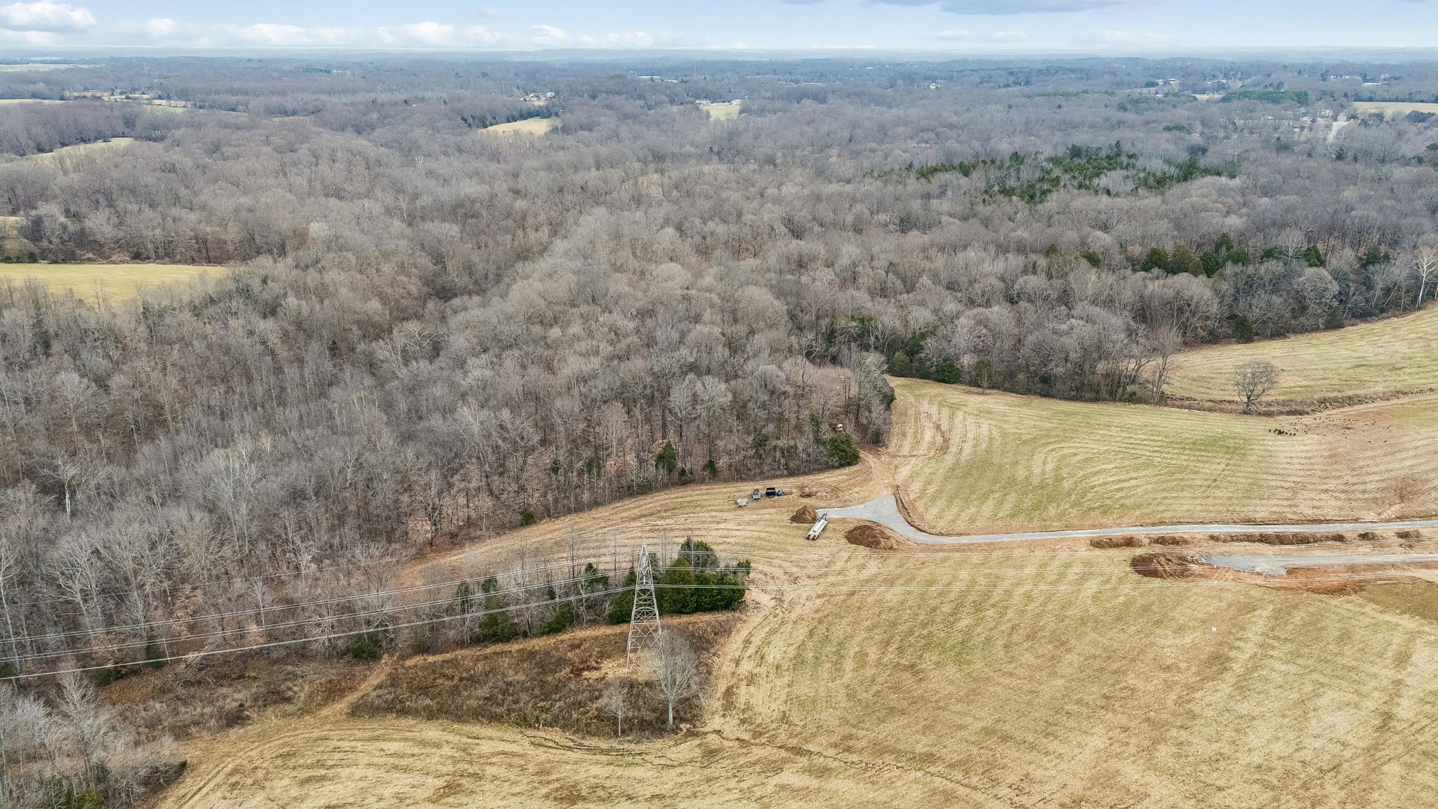 0 Lights Chapel Road Greenbrier, TN 37073 - Photo 17 of 18 Gallery Image 17