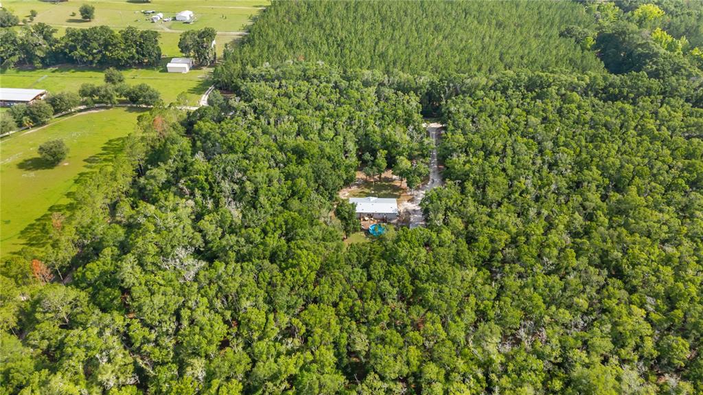 6679 Northwest 27th Place Bell, FL 32619 - Photo 52 of 55