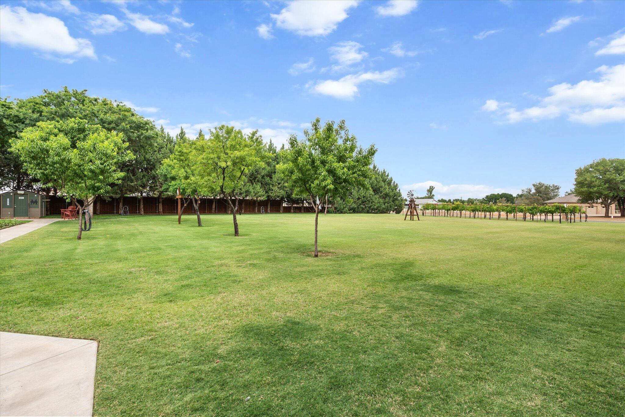 3713 154th Street Lubbock, TX 79423 - Photo 123 of 131 126-3713 154th 5047