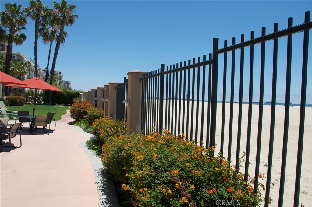 850 East Ocean Boulevard, Unit 1506 Long Beach, CA 90802 - Photo 50 of 58 a view of a garden with potted plants