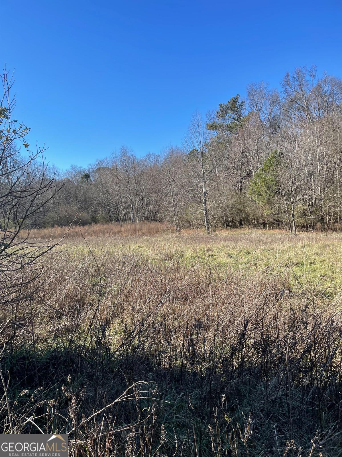 0 Barton Bridge Road, Unit LOT 2 Monroe, GA 30655 - Photo 1 of 1 a view of outdoor space and mountain view