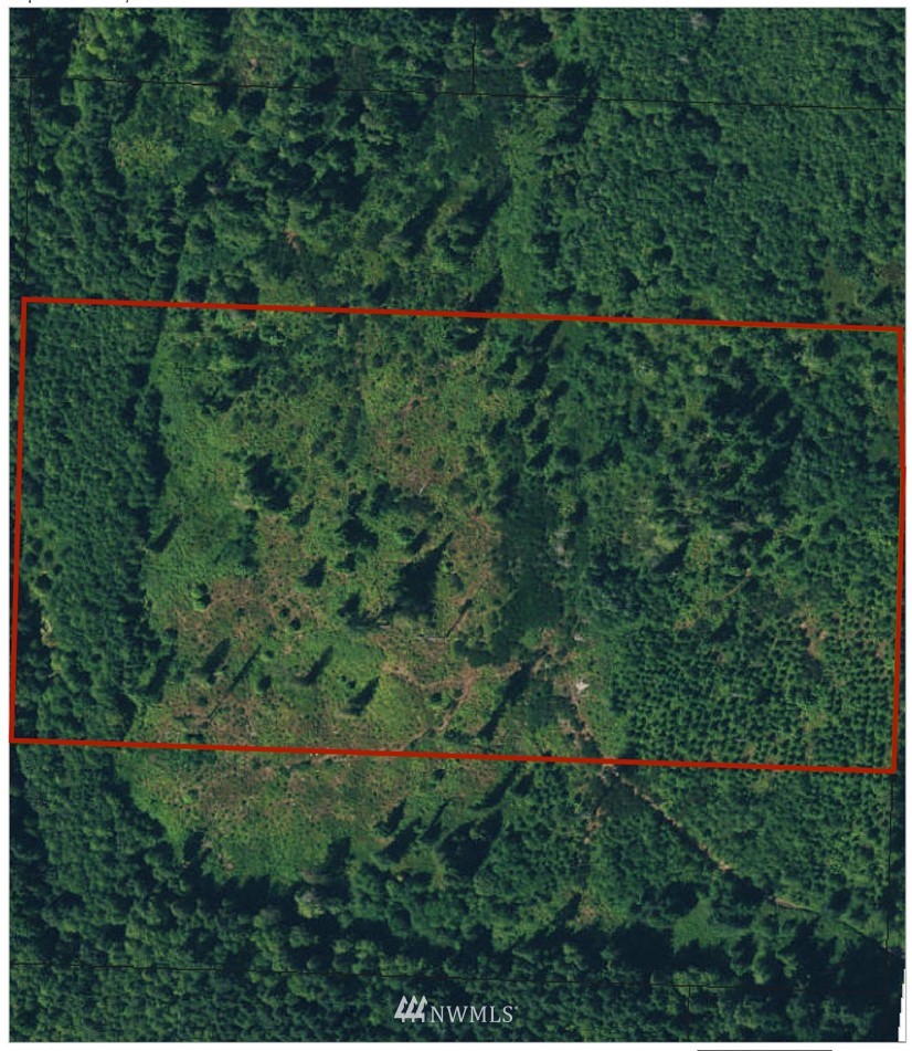 293-xx Parcells Road Northeast Kingston, WA 98346 - Photo 2 of 33