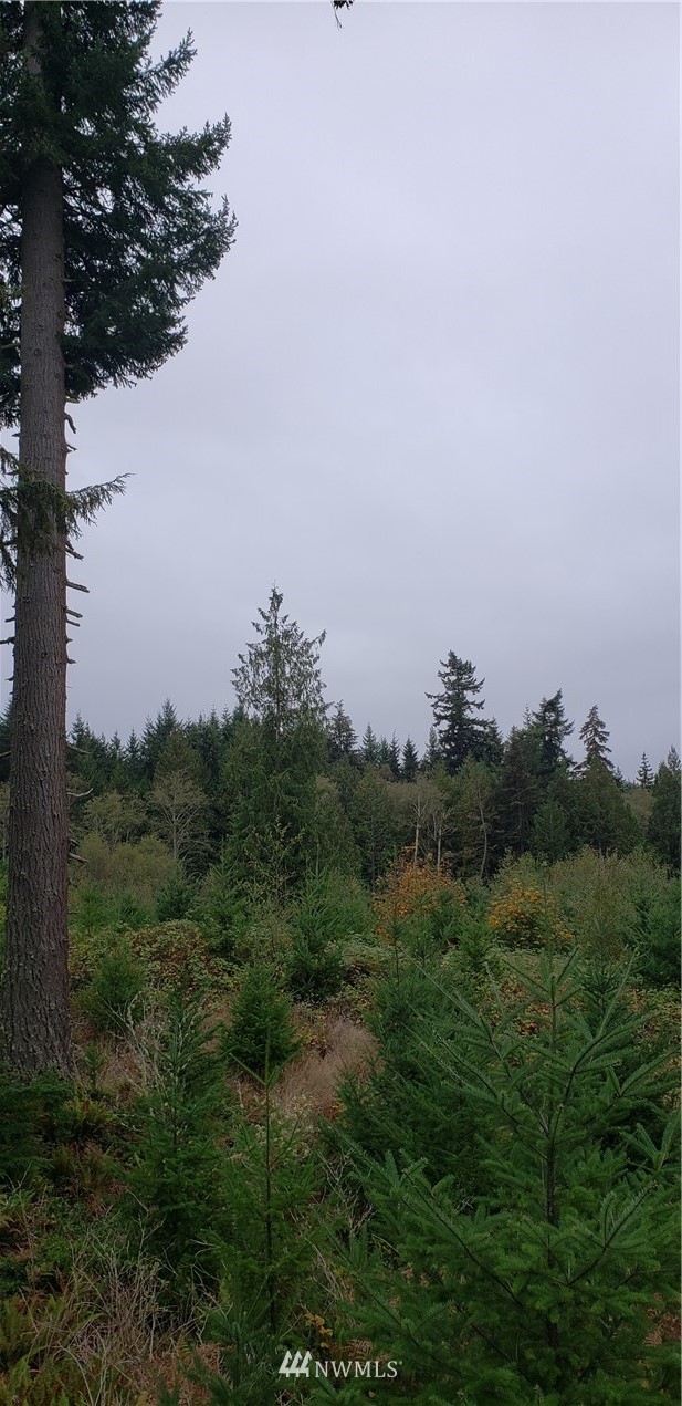 293-xx Parcells Road Northeast Kingston, WA 98346 - Photo 19 of 33