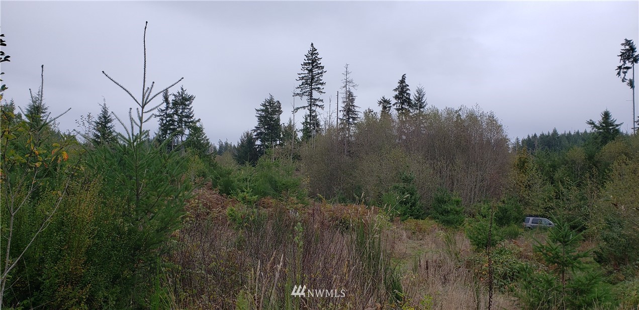 293-xx Parcells Road Northeast Kingston, WA 98346 - Photo 21 of 33