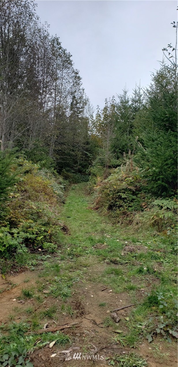 293-xx Parcells Road Northeast Kingston, WA 98346 - Photo 23 of 33