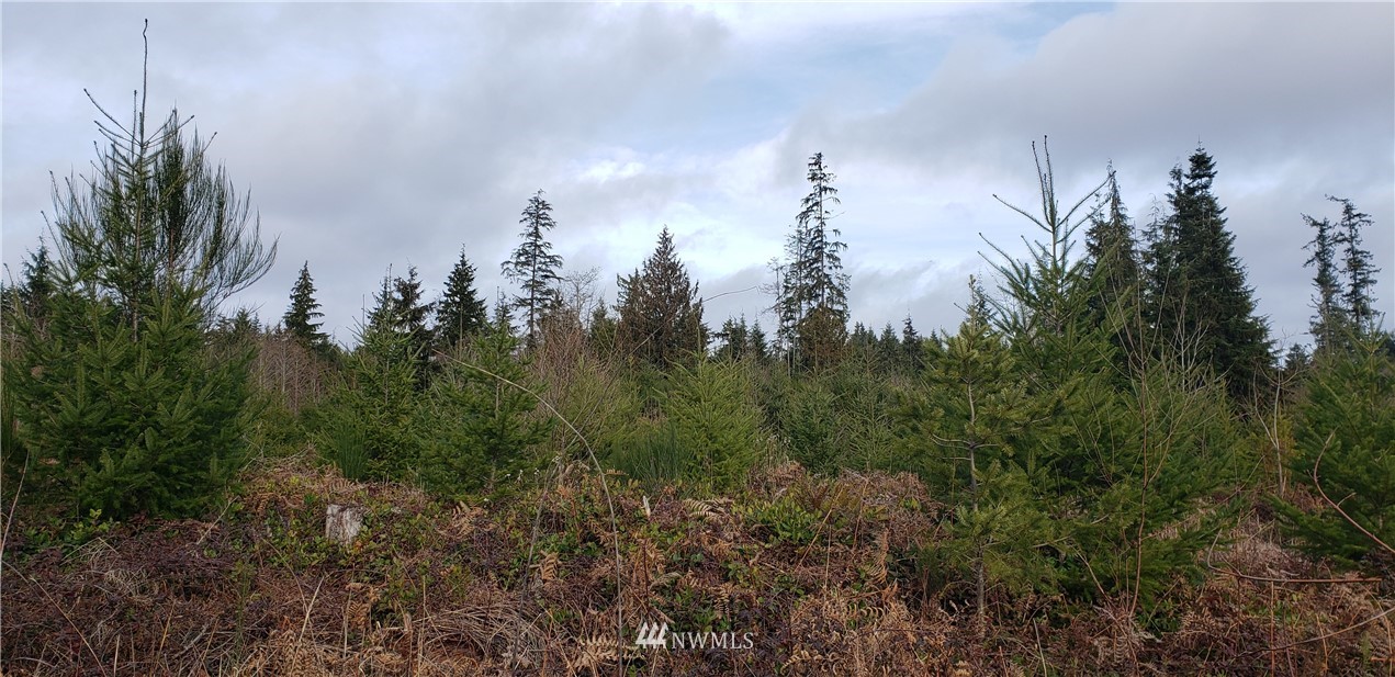 293-xx Parcells Road Northeast Kingston, WA 98346 - Photo 25 of 33
