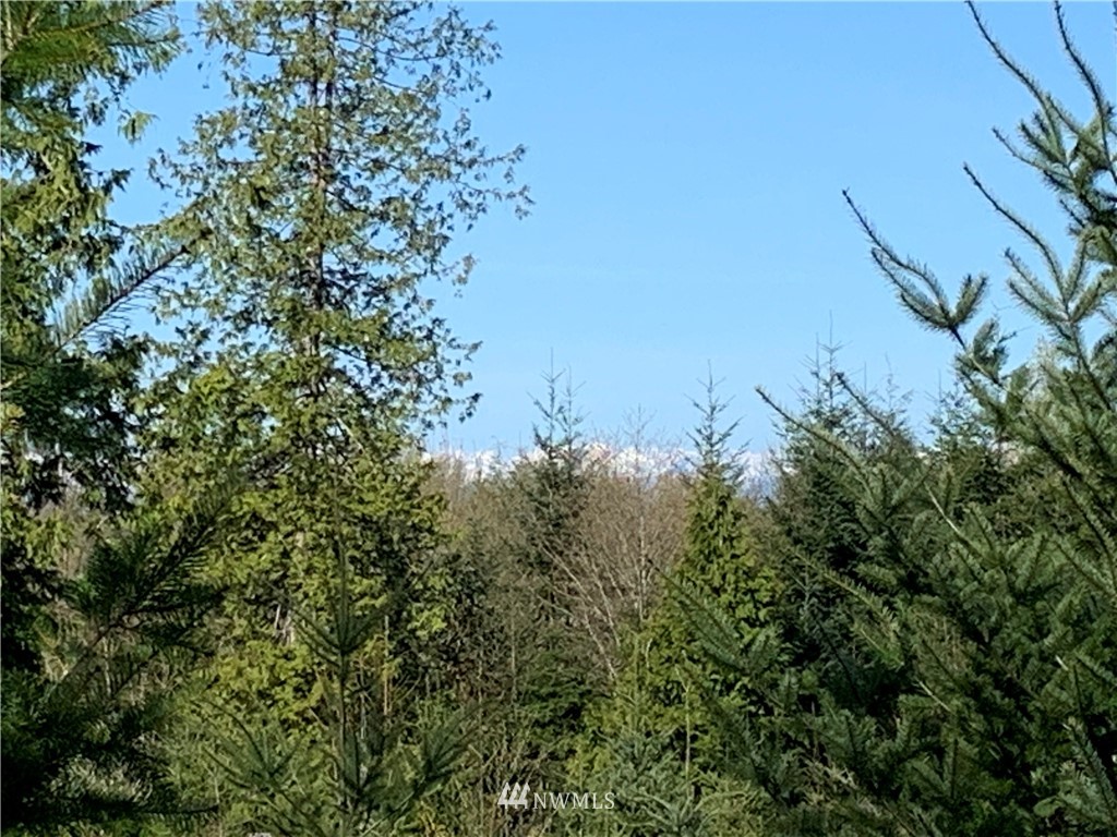 293-xx Parcells Road Northeast Kingston, WA 98346 - Photo 5 of 33