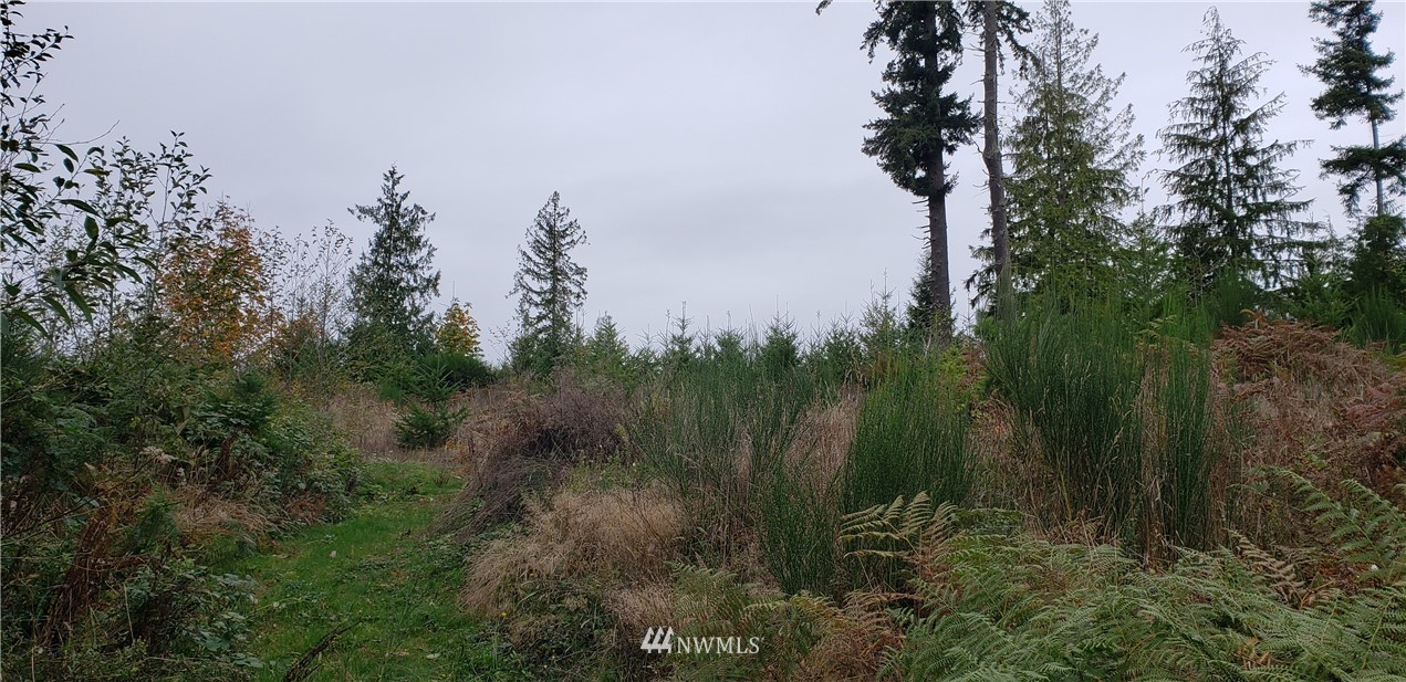 293-xx Parcells Road Northeast Kingston, WA 98346 - Photo 6 of 33