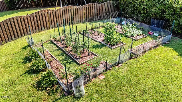 a view of a garden with flowers