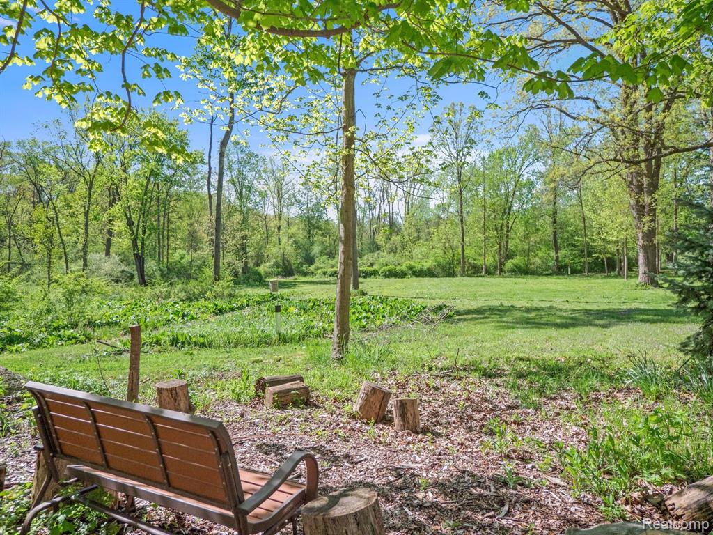 971 Dutton Road Rochester Hills, MI 48306 - Photo 3 of 51