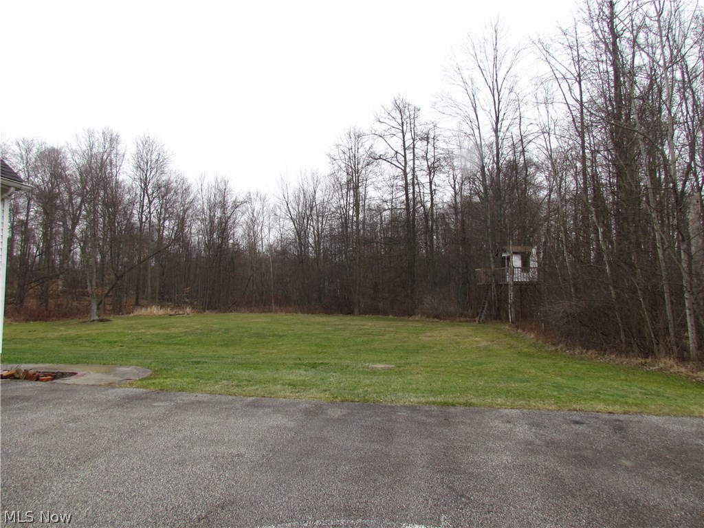 10780 Bell Road Newbury, OH 44065 - Photo 28 of 31 View of back yard