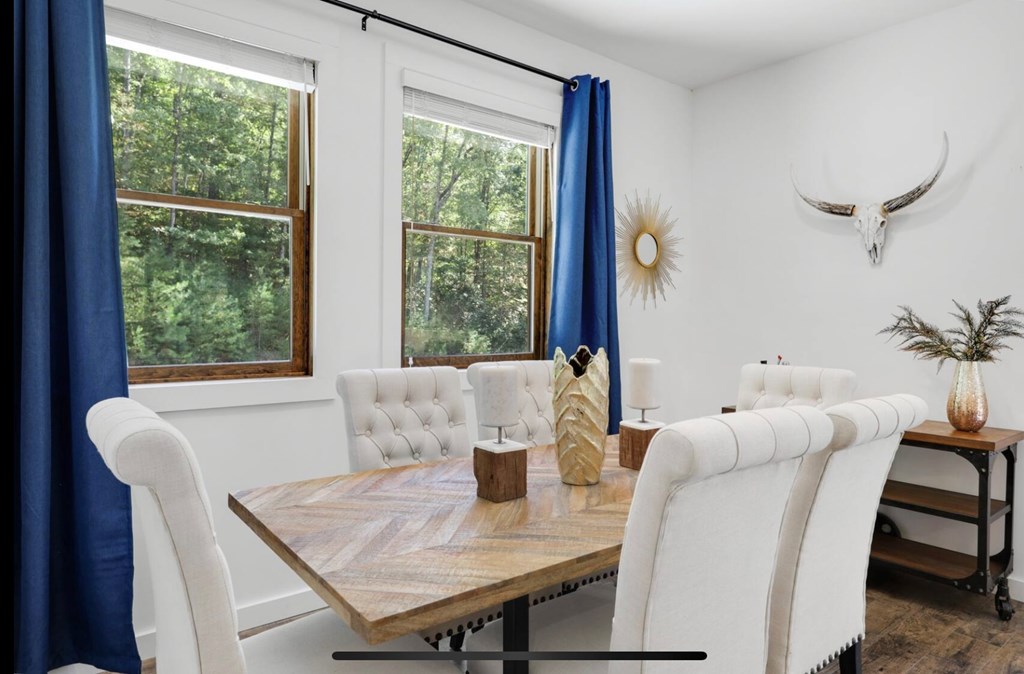 274 The Forest Road Blue Ridge, GA 30513 - Photo 55 of 59 Gallery Image 55