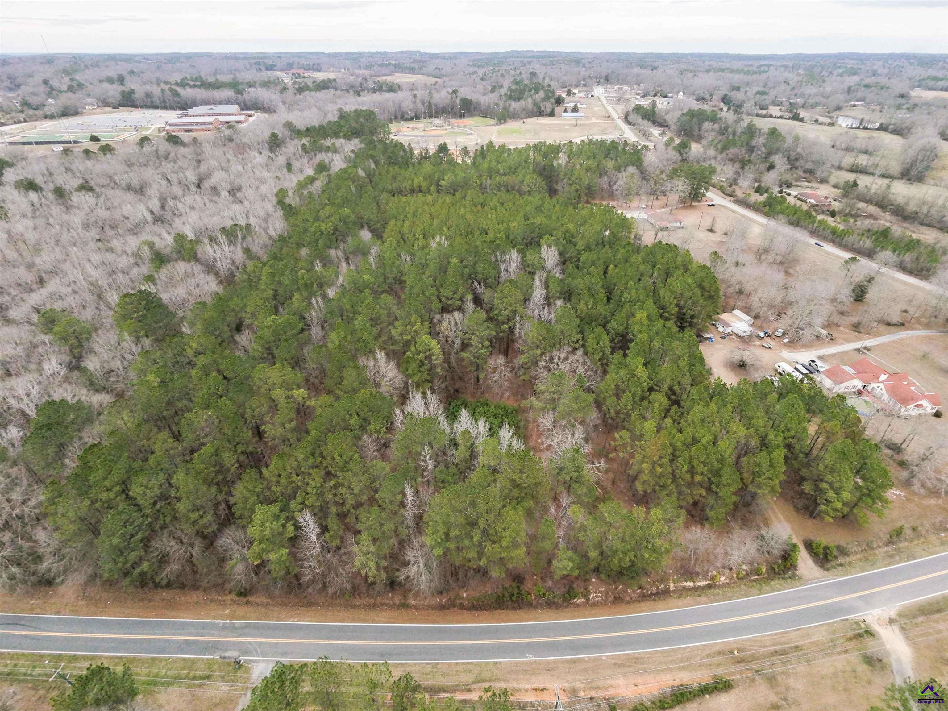 12.6-acres Hicks Road Roberta, GA 31078 - Photo 2 of 17