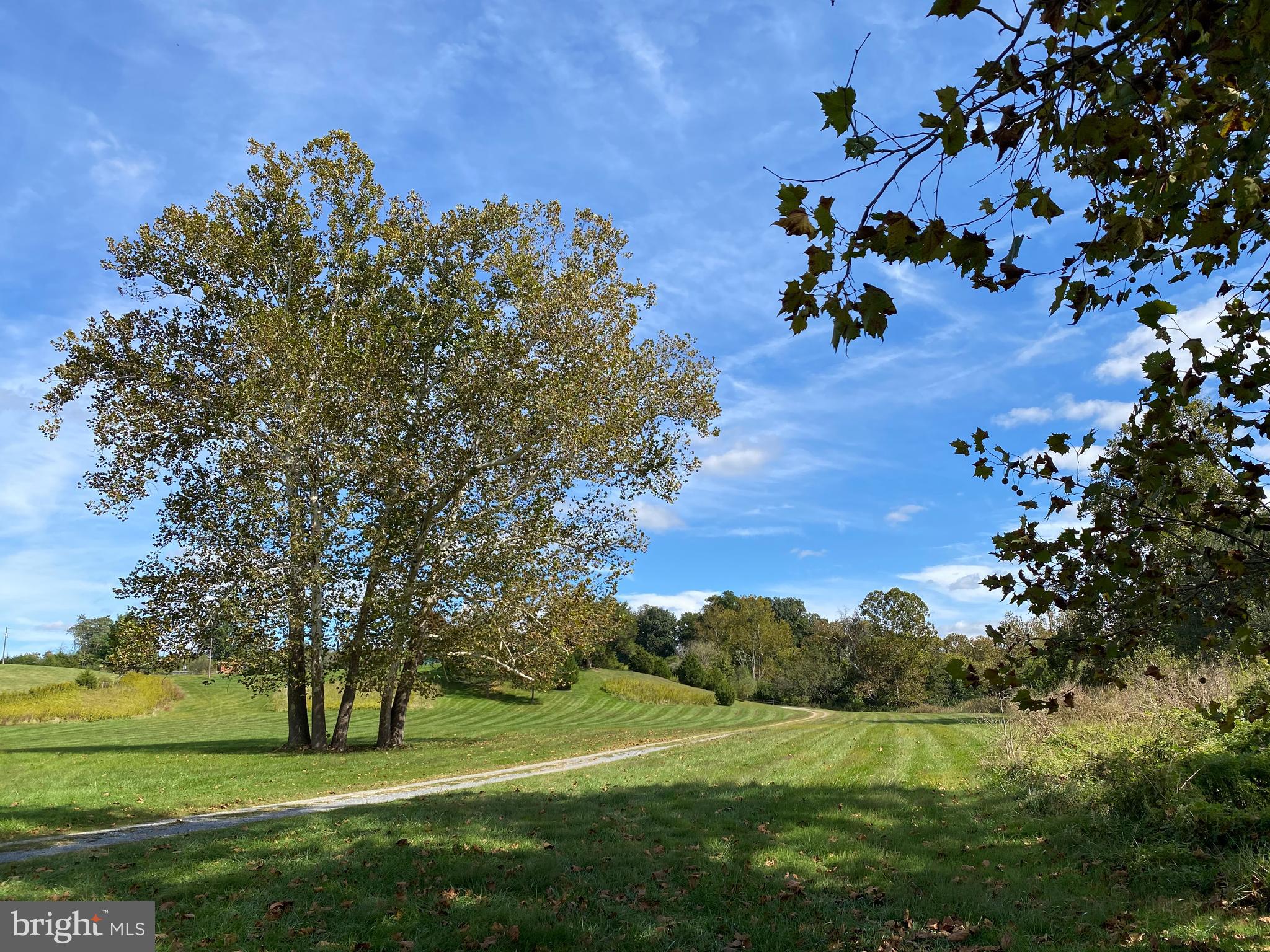 0 Cardinal Lane Boyce, VA 22620 - Photo 13 of 40 Road to community Lot