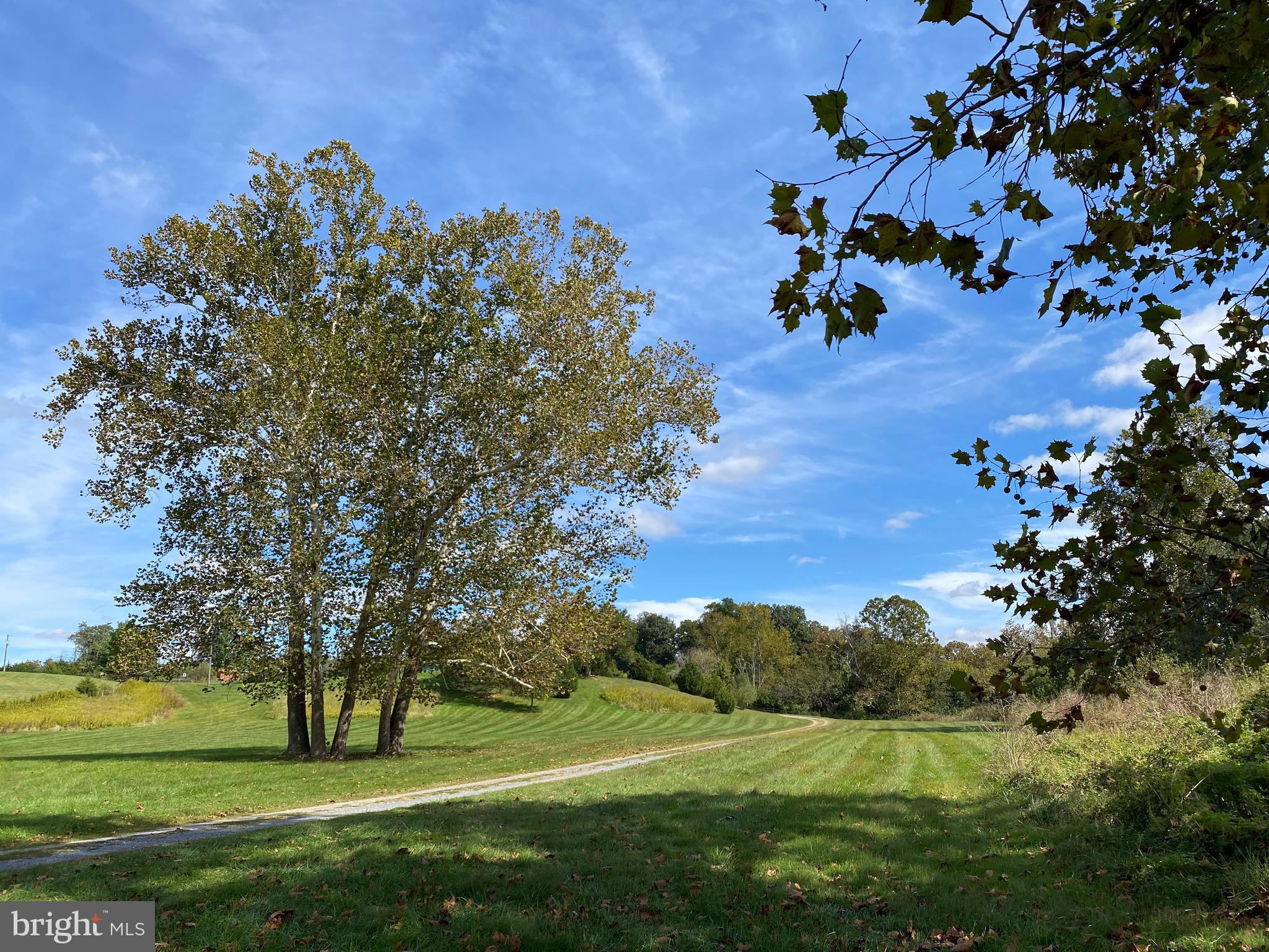 0 Cardinal Lane Boyce, VA 22620 - Photo 15 of 40 Road to community Lot