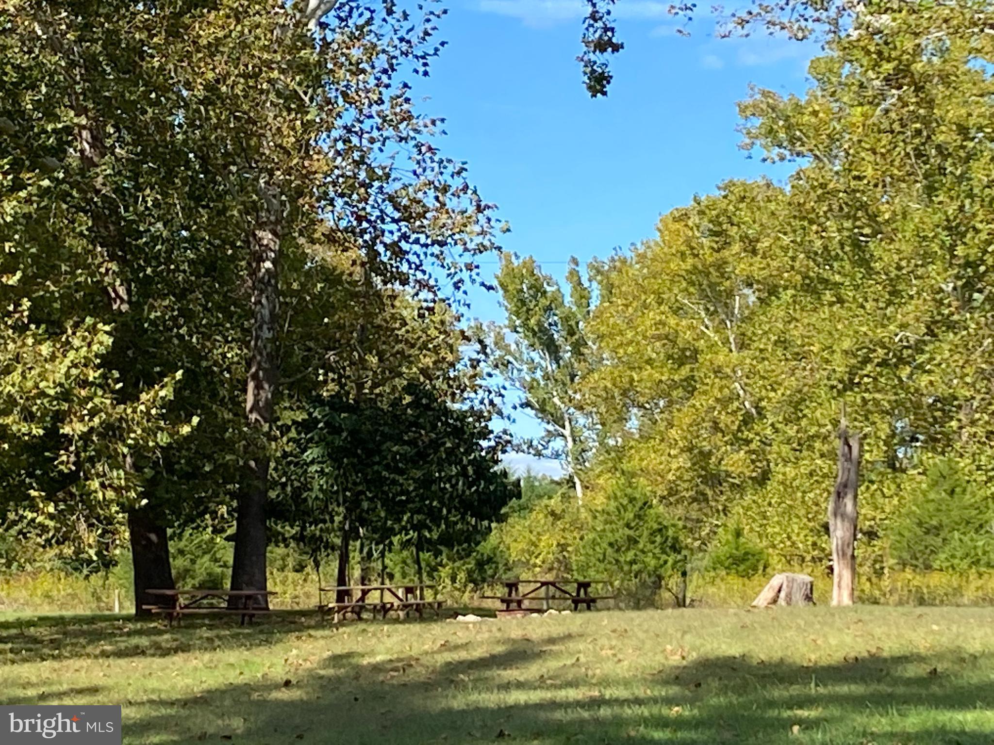 0 Cardinal Lane Boyce, VA 22620 - Photo 25 of 40 Picnic Tables
