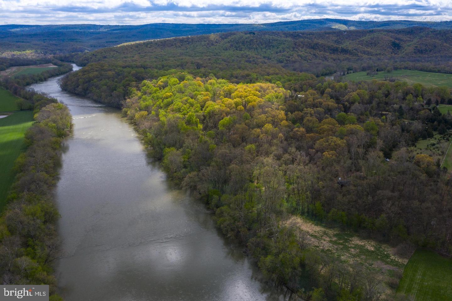 0 Cardinal Lane Boyce, VA 22620 - Photo 29 of 40 What a Naturalist's Paradise.