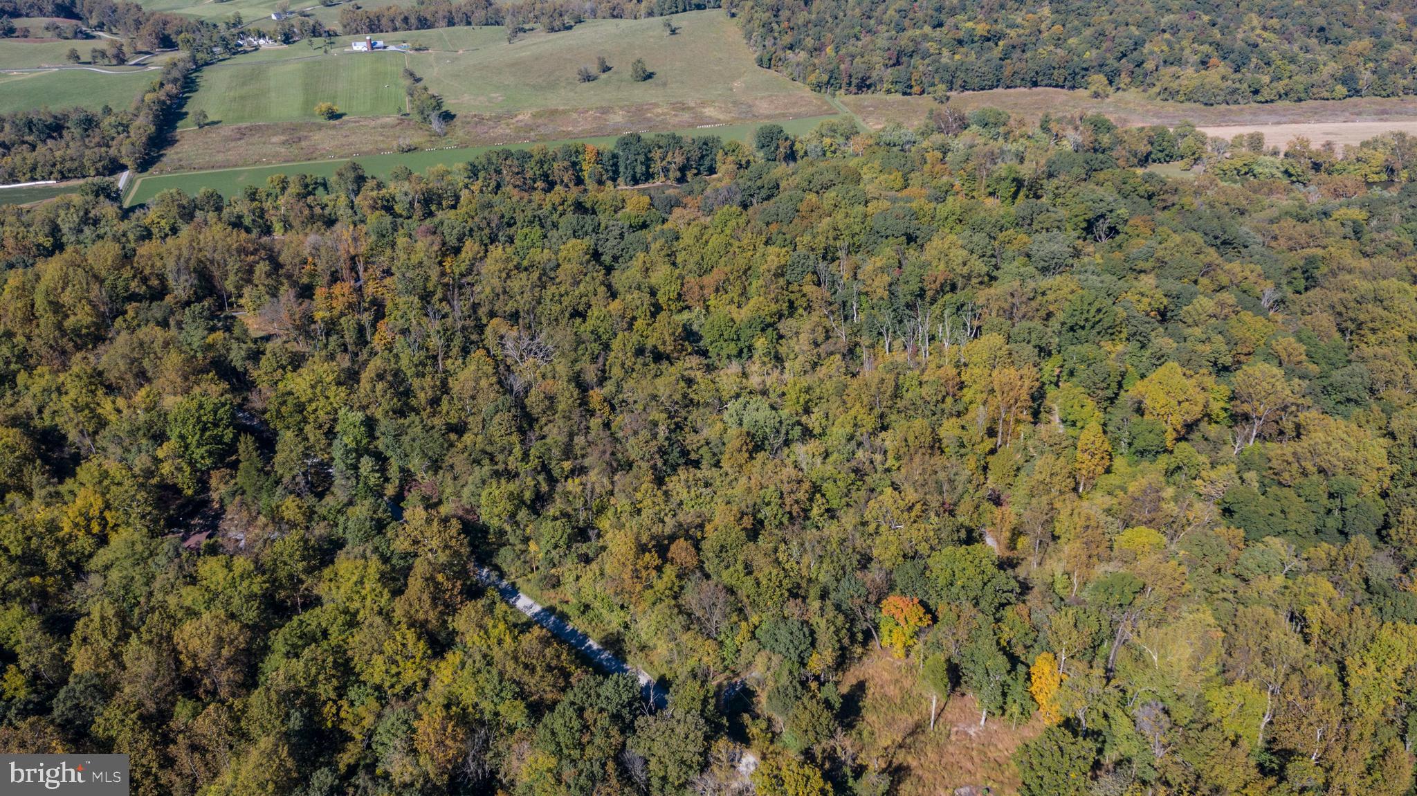 0 Cardinal Lane Boyce, VA 22620 - Photo 33 of 40