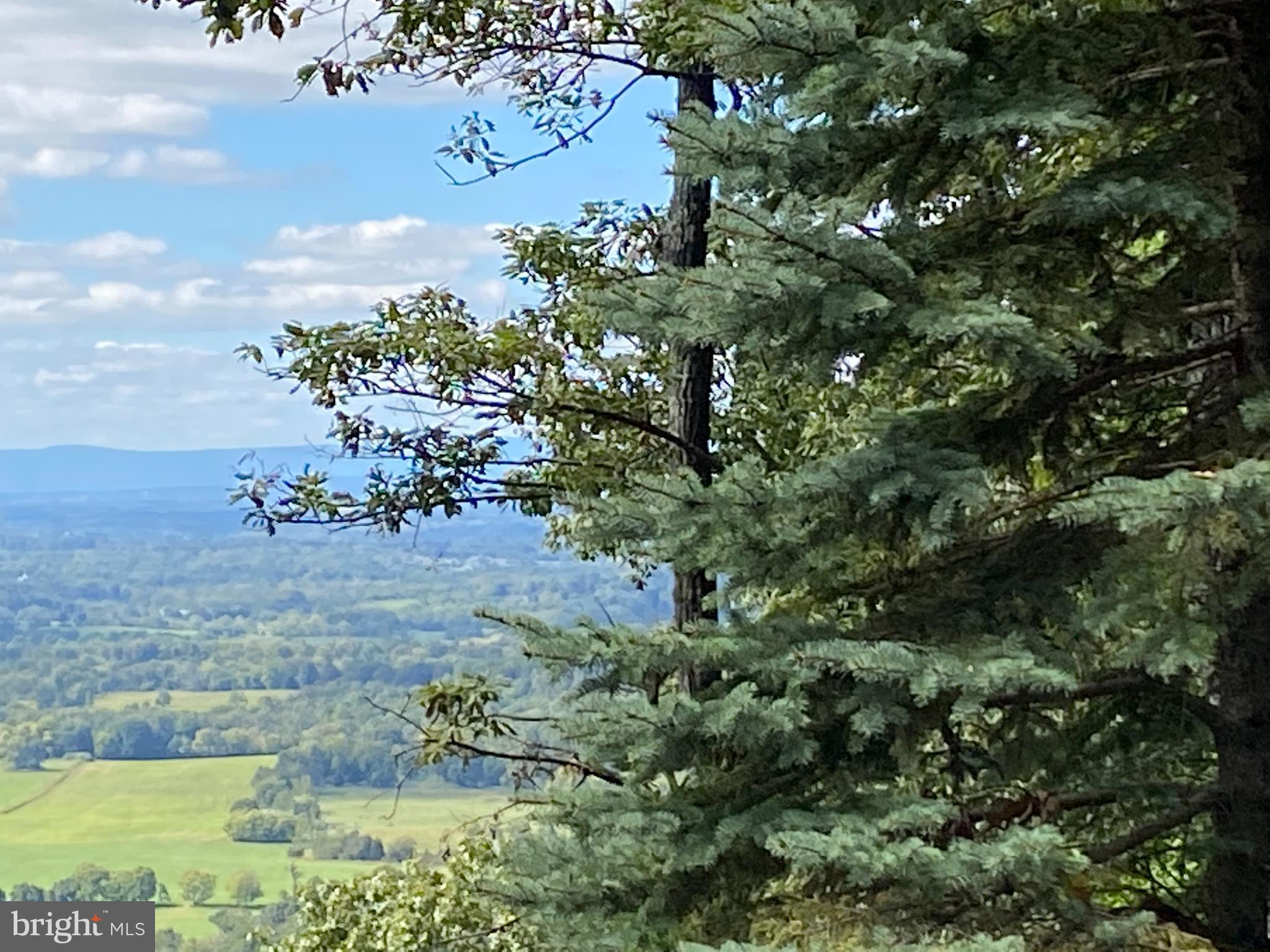 0 Cardinal Lane Boyce, VA 22620 - Photo 8 of 40 Views on the way