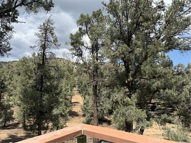 a view of a backyard of the house