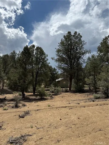 a view of a dry yard covered with snow in the background