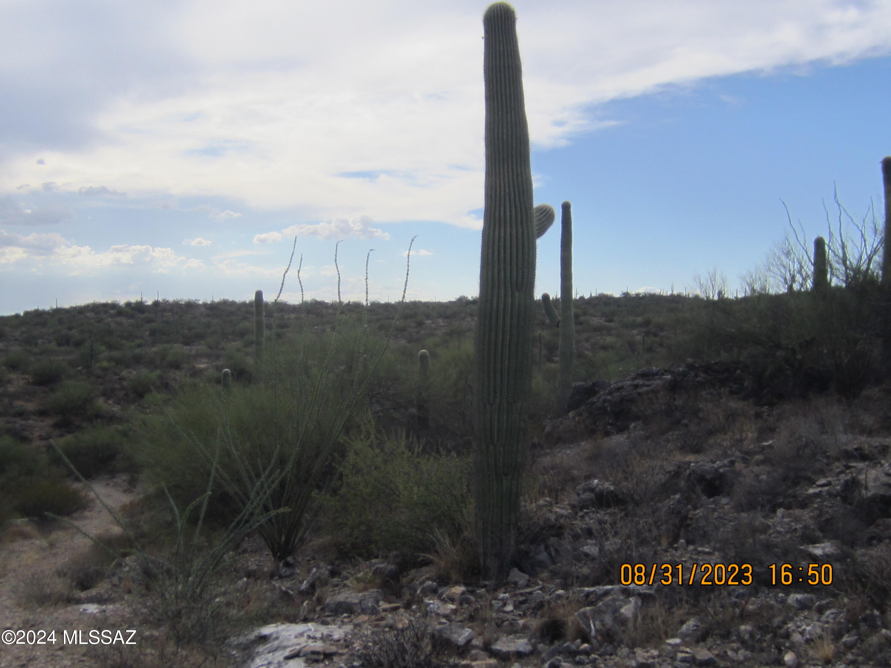 0 East Rincon Creek Ranch Road Tucson, AZ 85747 - Photo 35 of 46 Gallery Image 35