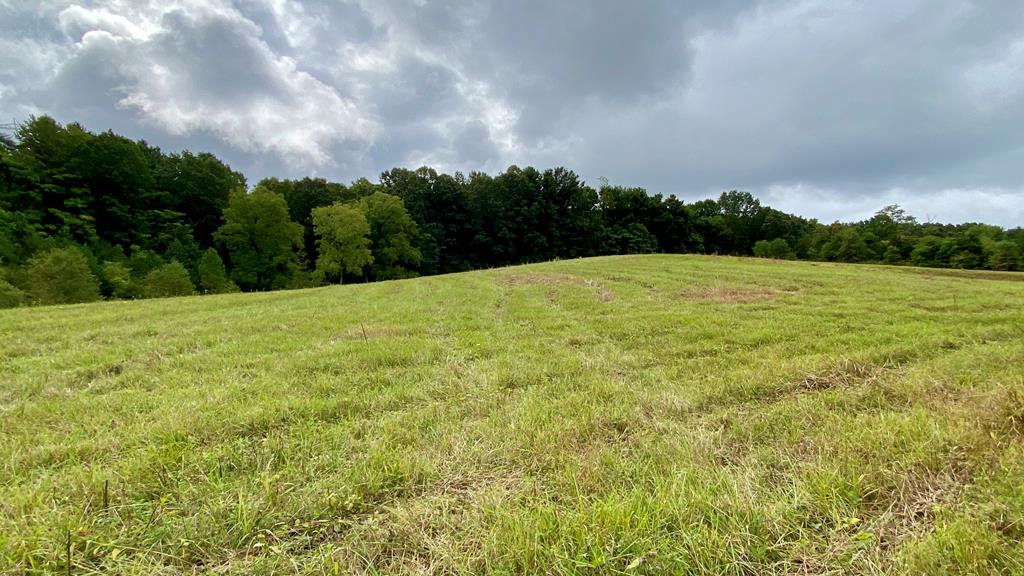 Tbd Castleton Road, Unit 62110 Max Meadows, VA 24360 - Photo 25 of 37 Gallery Image 25