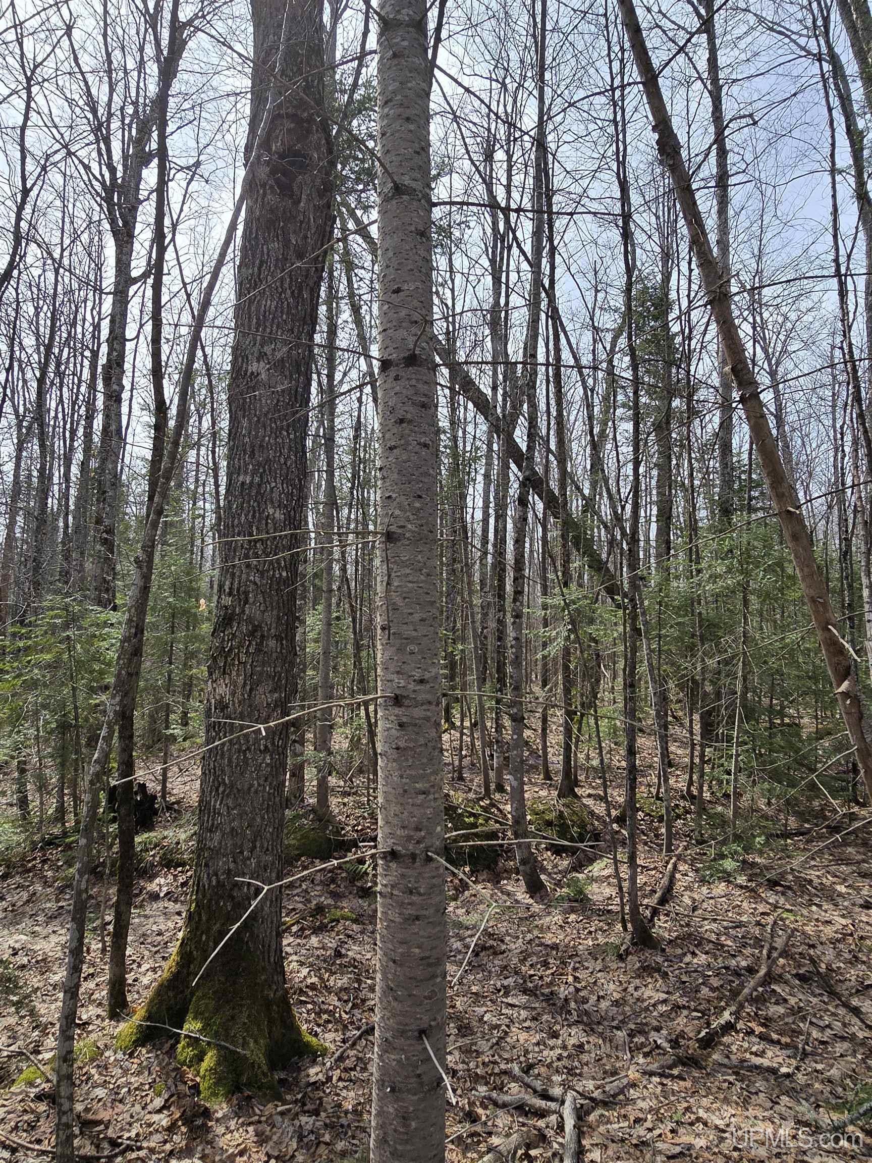 Tbd Woodspur Road Ontonagon, MI 49953 - Photo 33 of 46