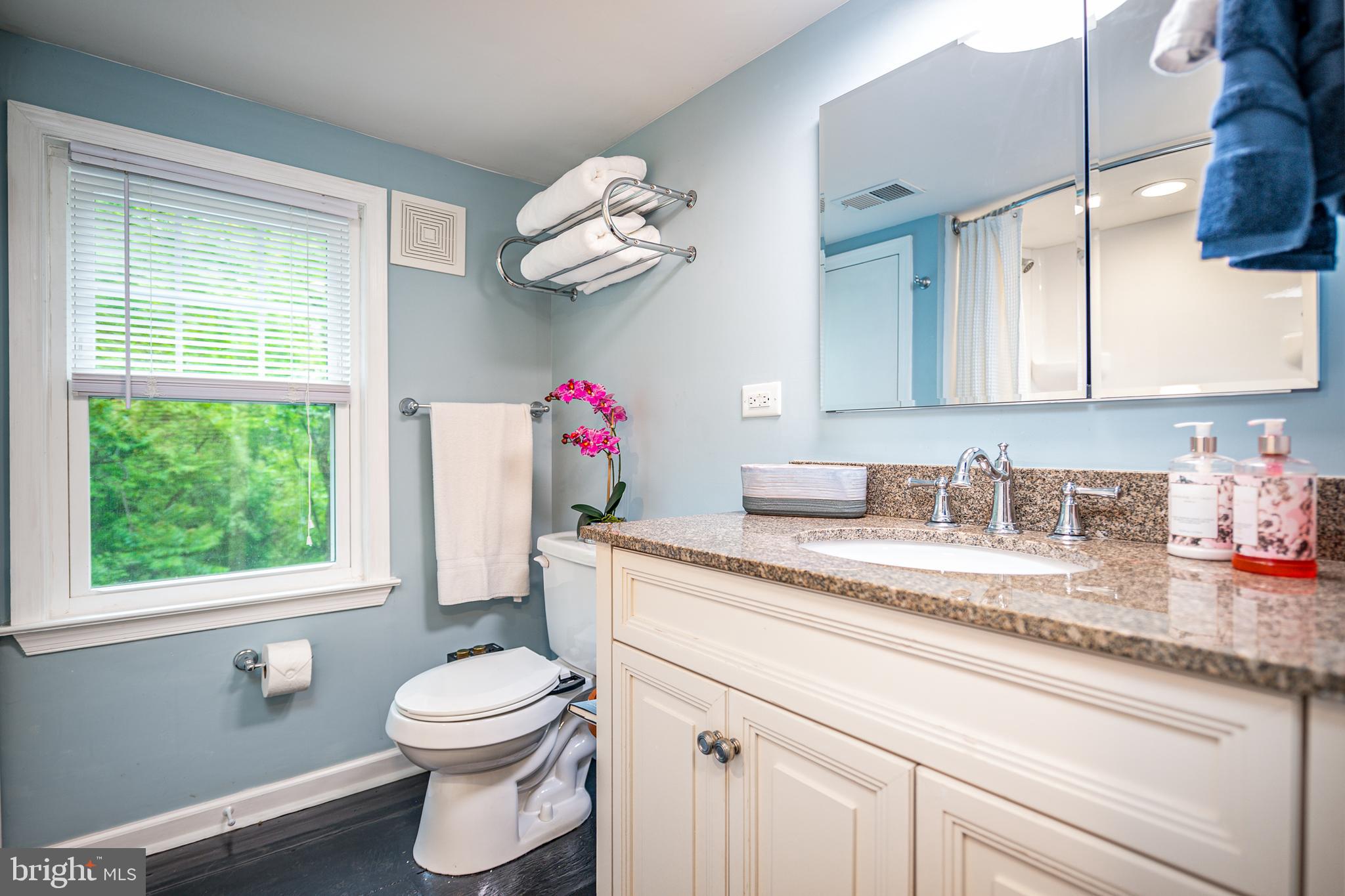 142 White Hall Road Winchester, VA 22603 - Photo 44 of 53 Full bath with pocket door view 2