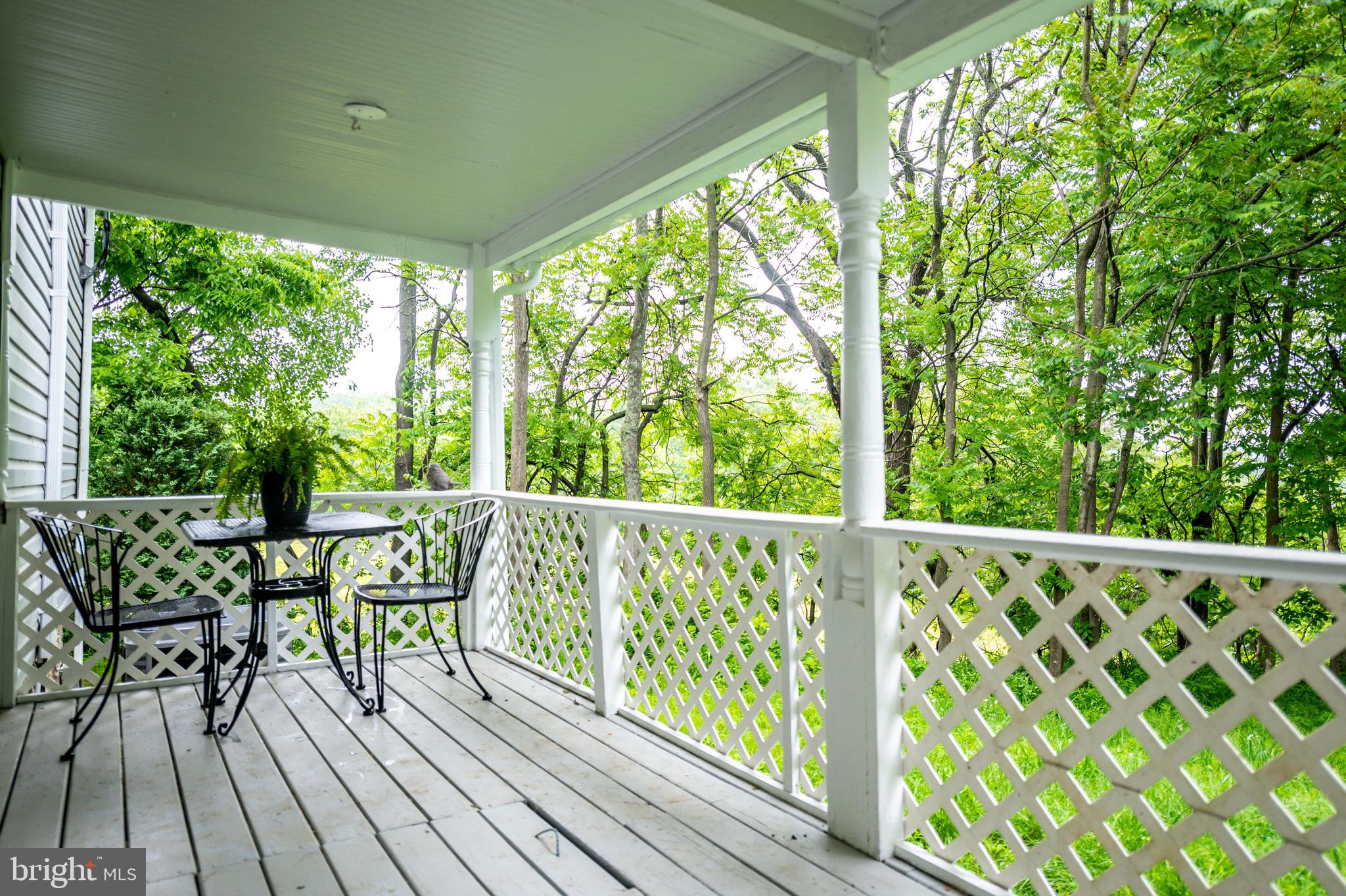 142 White Hall Road Winchester, VA 22603 - Photo 10 of 53 Porch off kitchen w/ root cellar hatch! How cool!