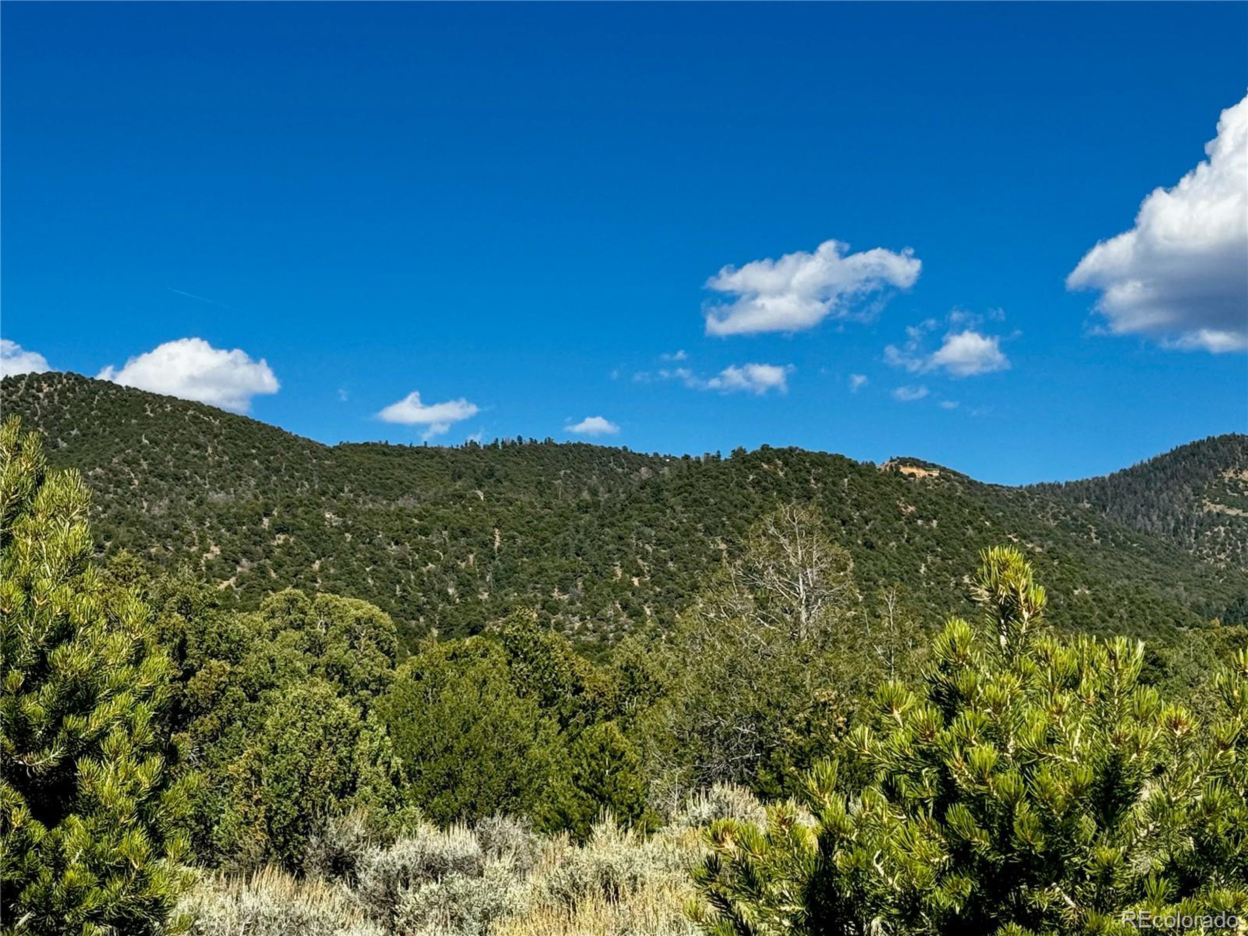 1522 Dunn Road Fort Garland, CO 81133 - Photo 3 of 17