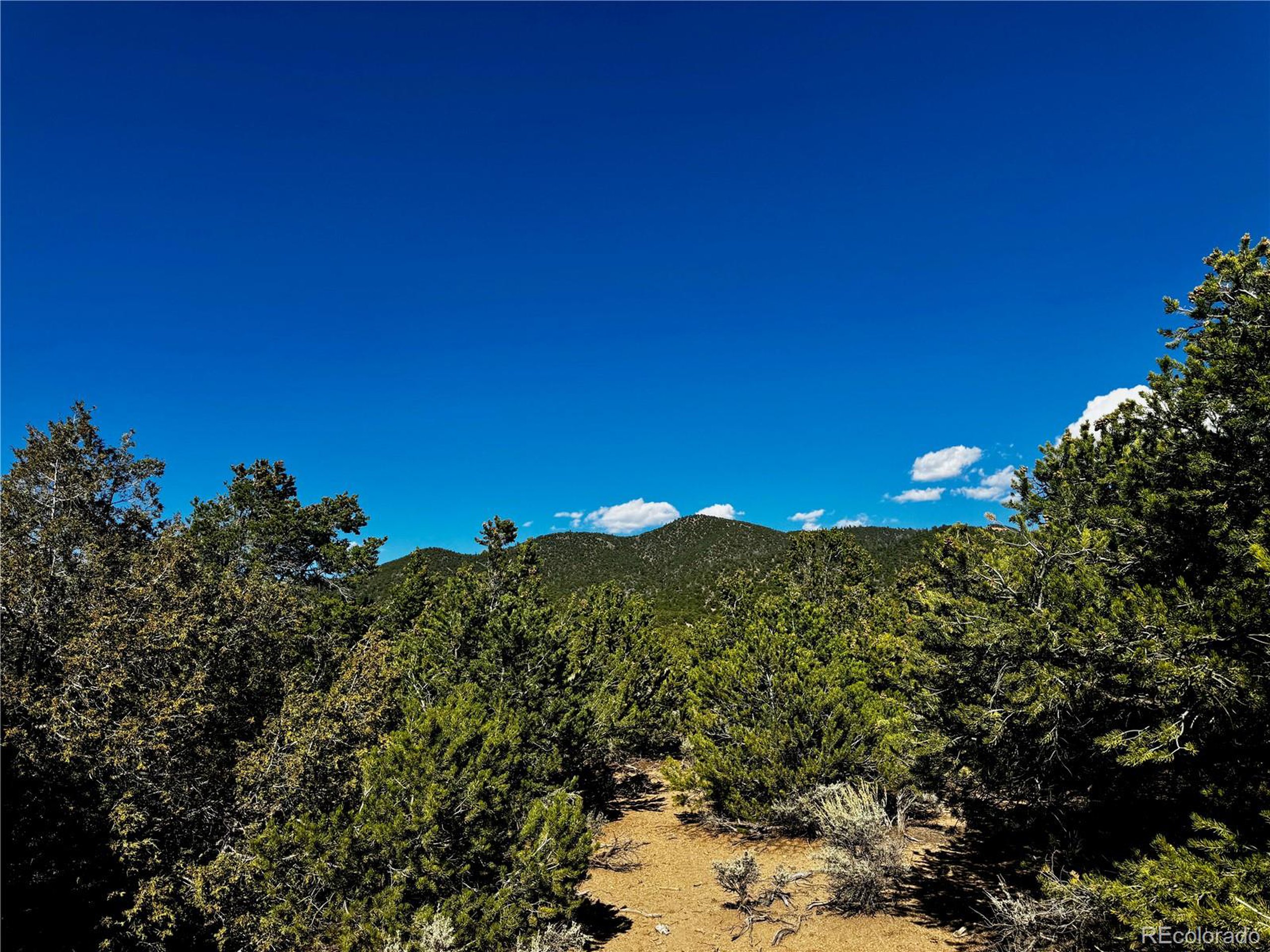 1522 Dunn Road Fort Garland, CO 81133 - Photo 5 of 17