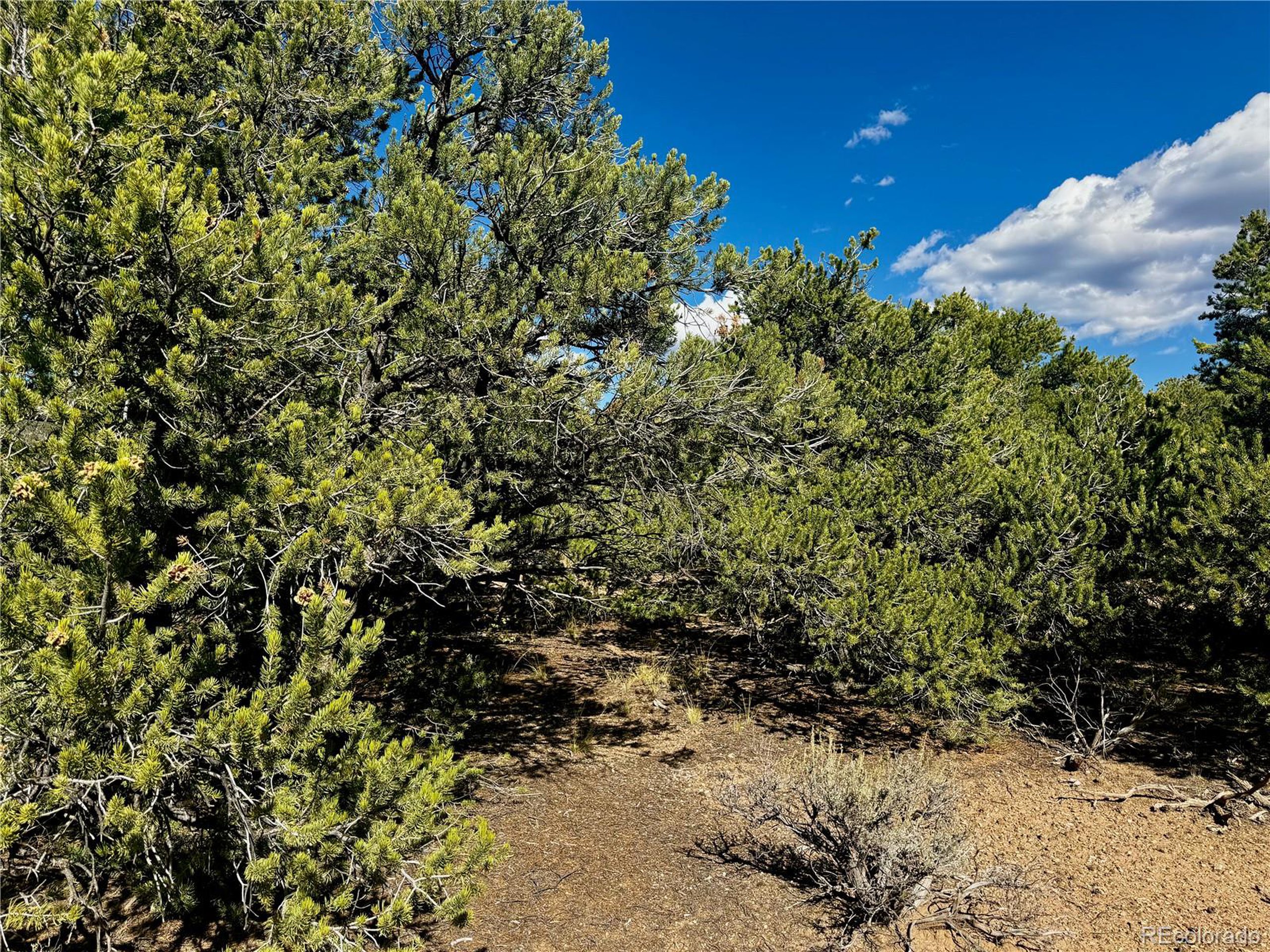 1522 Dunn Road Fort Garland, CO 81133 - Photo 10 of 17