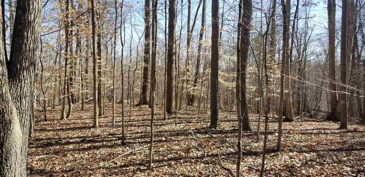 0 East Ramp Creek Road Bloomington, IN 47401 - Photo 2 of 8