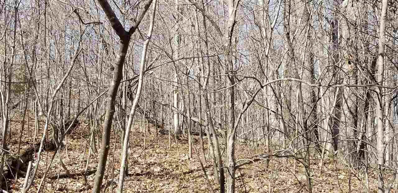 0 East Ramp Creek Road Bloomington, IN 47401 - Photo 3 of 8