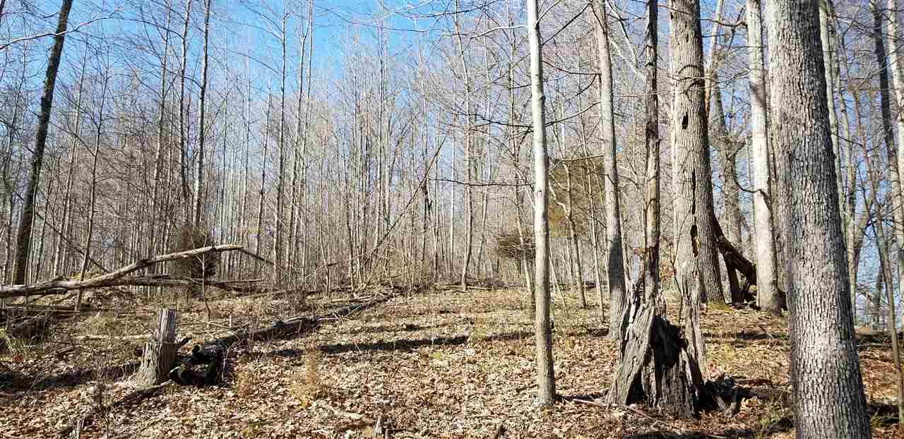 0 East Ramp Creek Road Bloomington, IN 47401 - Photo 5 of 8