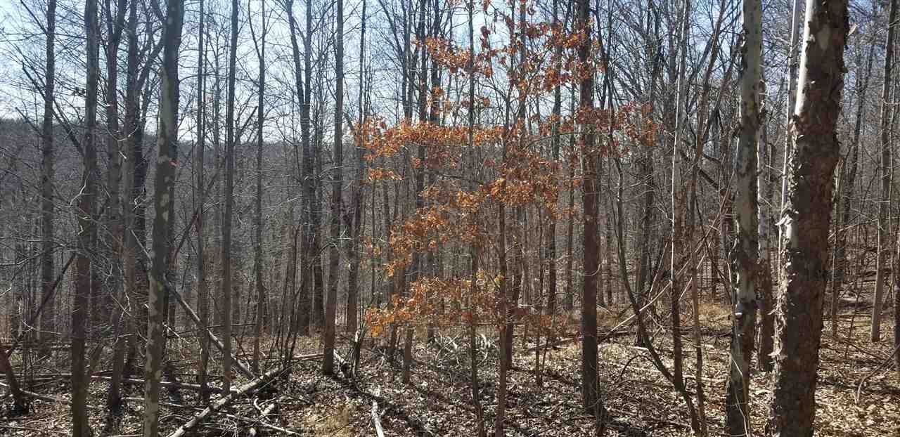 0 East Ramp Creek Road Bloomington, IN 47401 - Photo 6 of 8
