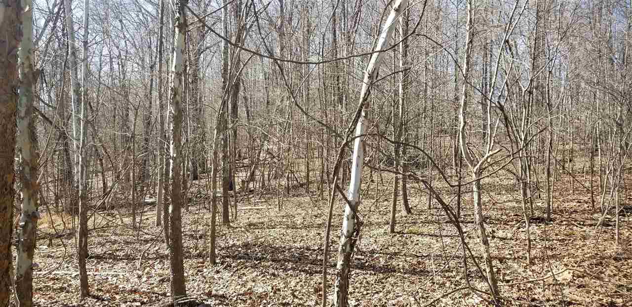 0 East Ramp Creek Road Bloomington, IN 47401 - Photo 7 of 8