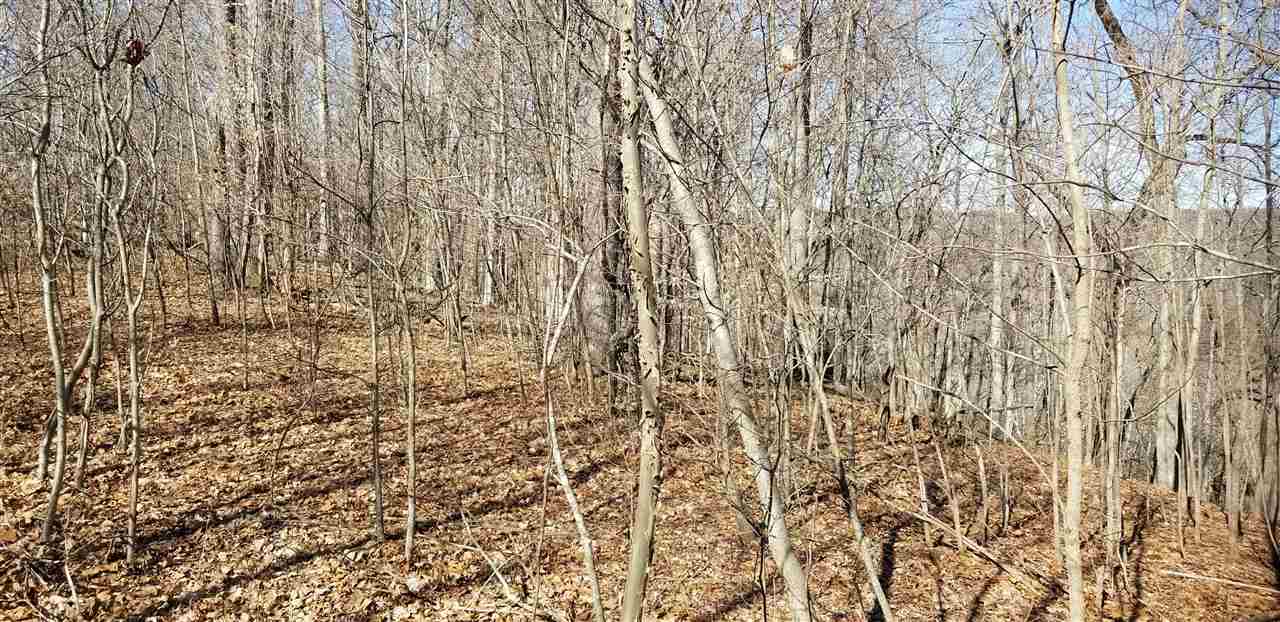 0 East Ramp Creek Road Bloomington, IN 47401 - Photo 8 of 8