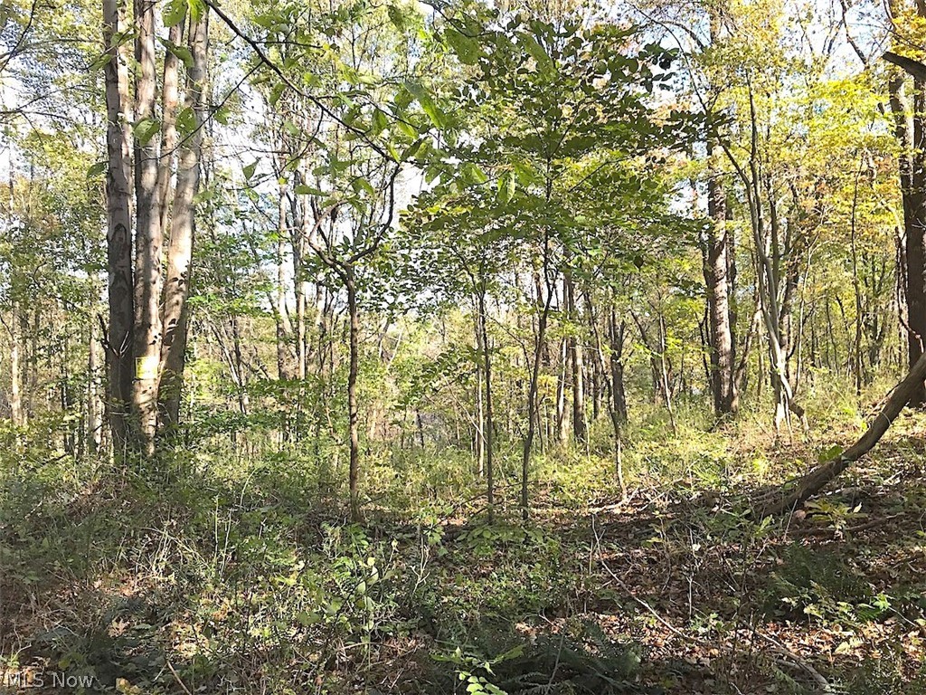 Timber Rock Road Lore City, OH 43755 - Photo 14 of 35