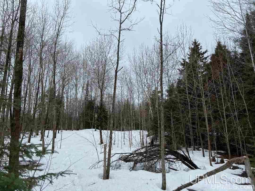Tbd Degarmo Road Trenary, MI 49891 - Photo 30 of 34