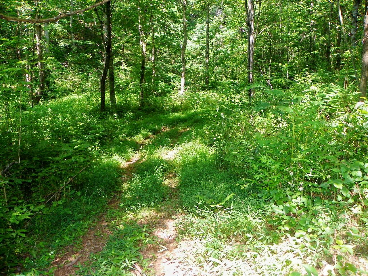 3-4 Obes Branch Road Sevierville, TN 37876 - Photo 13 of 33 100_1403