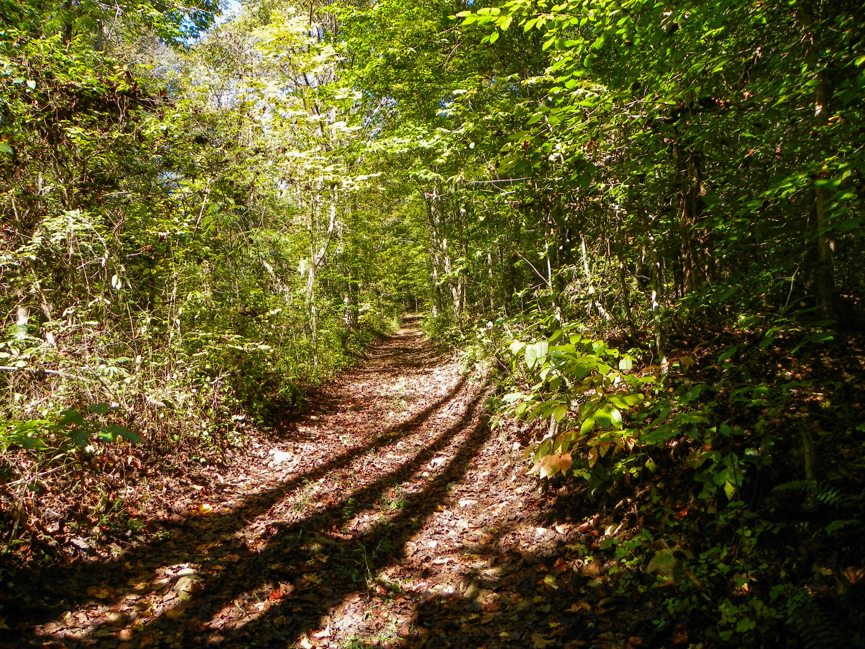 3-4 Obes Branch Road Sevierville, TN 37876 - Photo 14 of 33 Obes Branch Road (6)