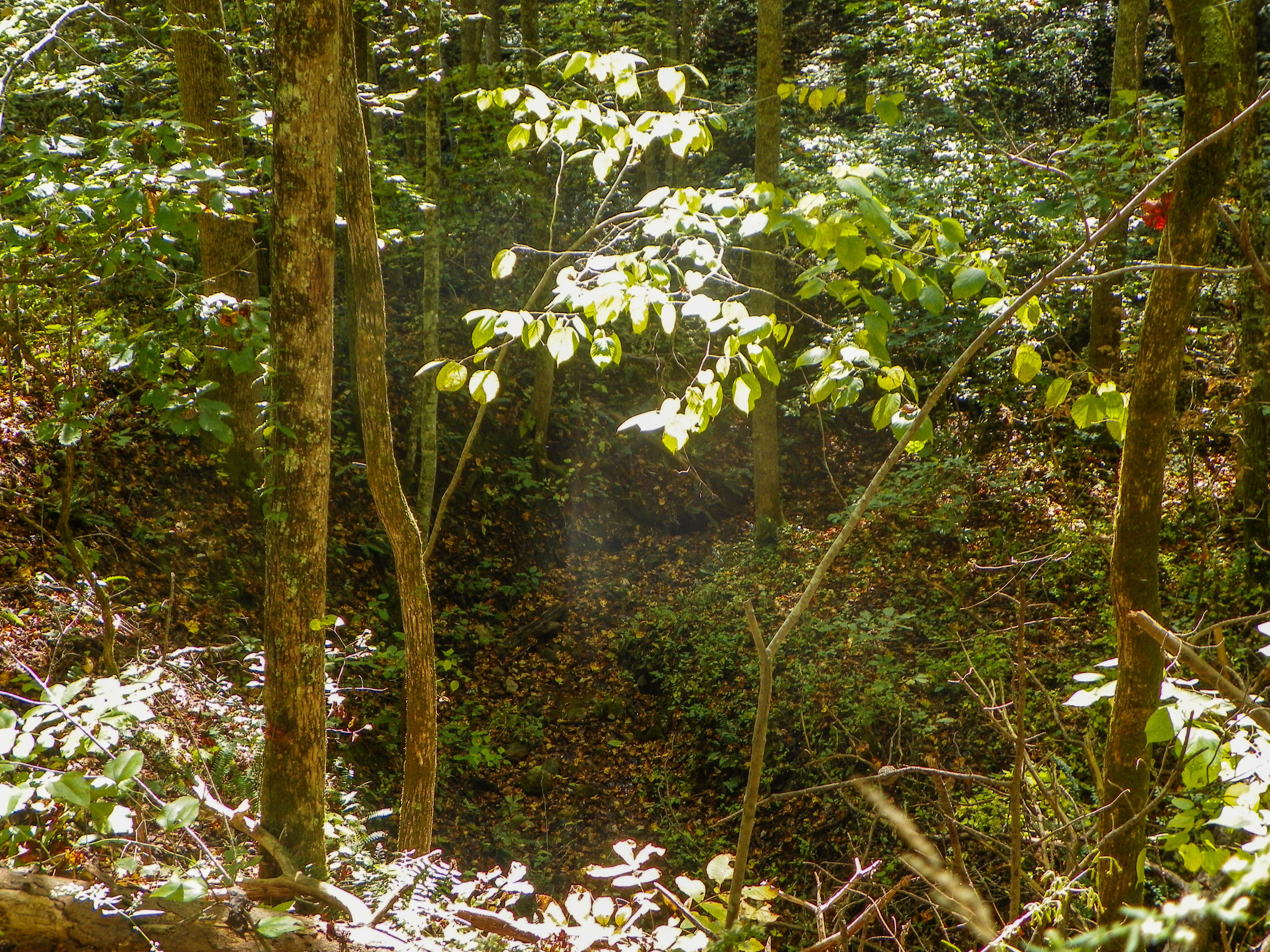 3-4 Obes Branch Road Sevierville, TN 37876 - Photo 16 of 33 Obes Branch Road (14)