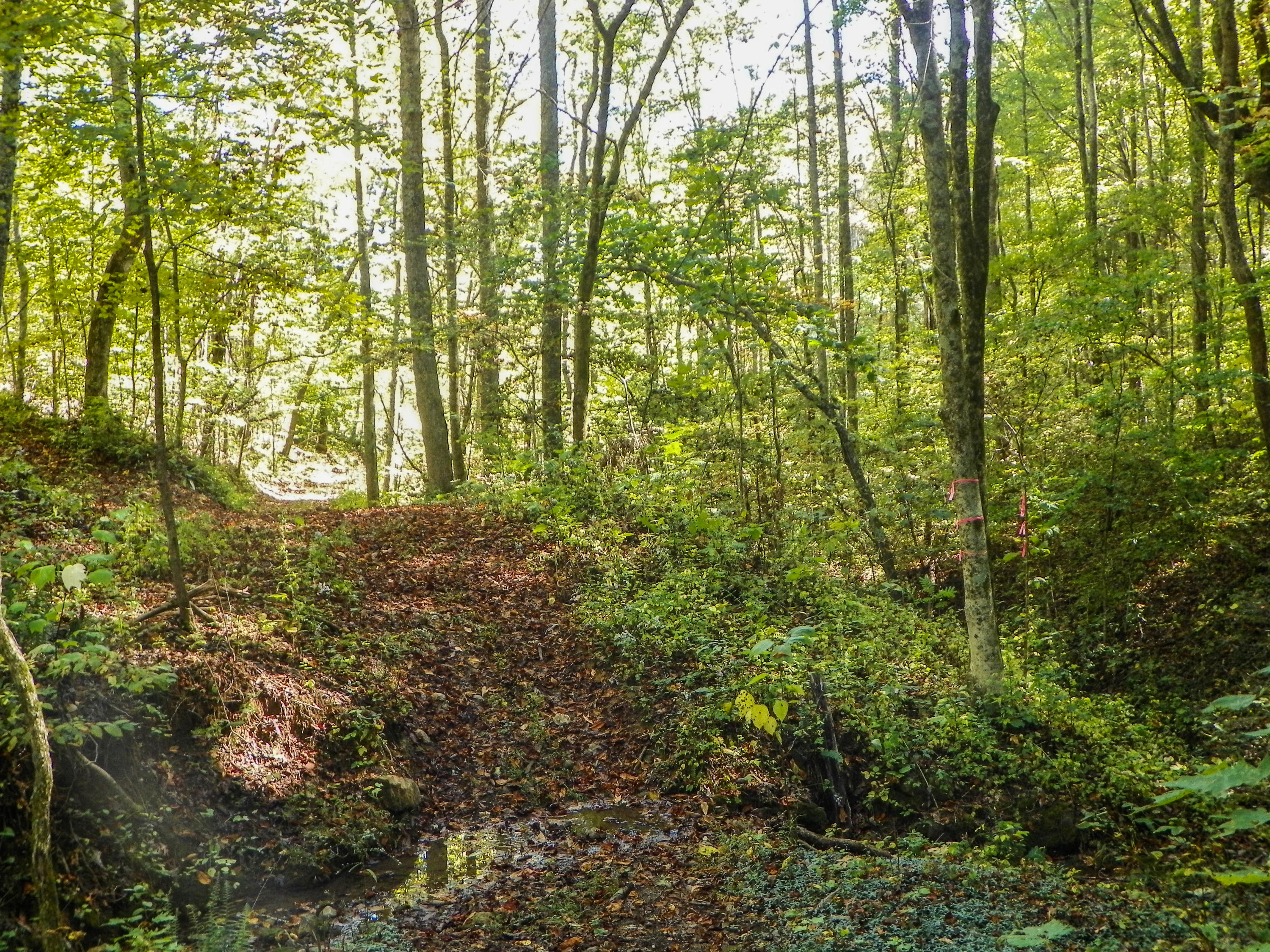 3-4 Obes Branch Road Sevierville, TN 37876 - Photo 19 of 33 Obes Branch Road (18)